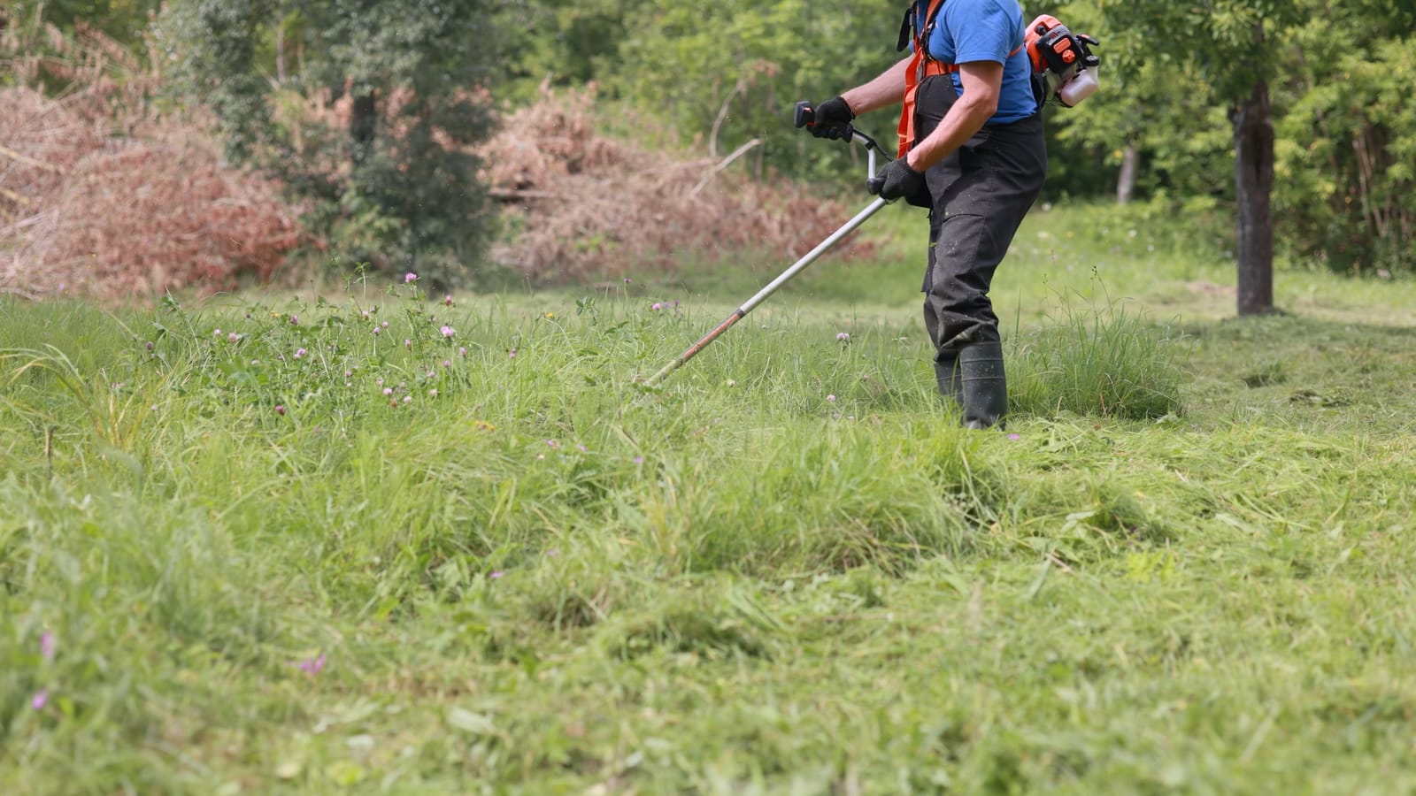 Land Clearance Services North London