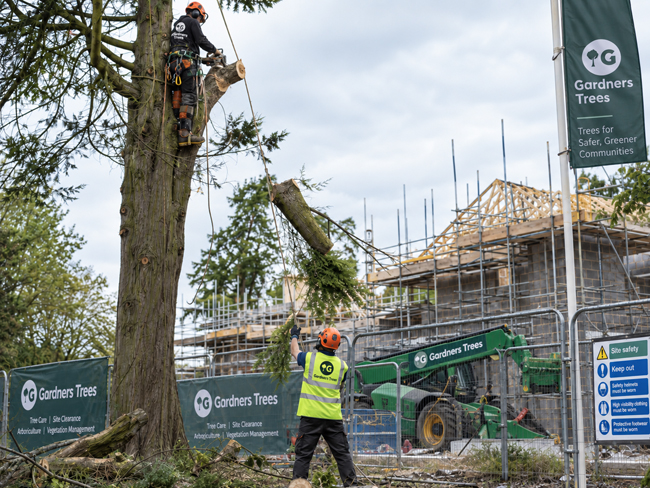 Commercial tree surgeons for construction and development sites