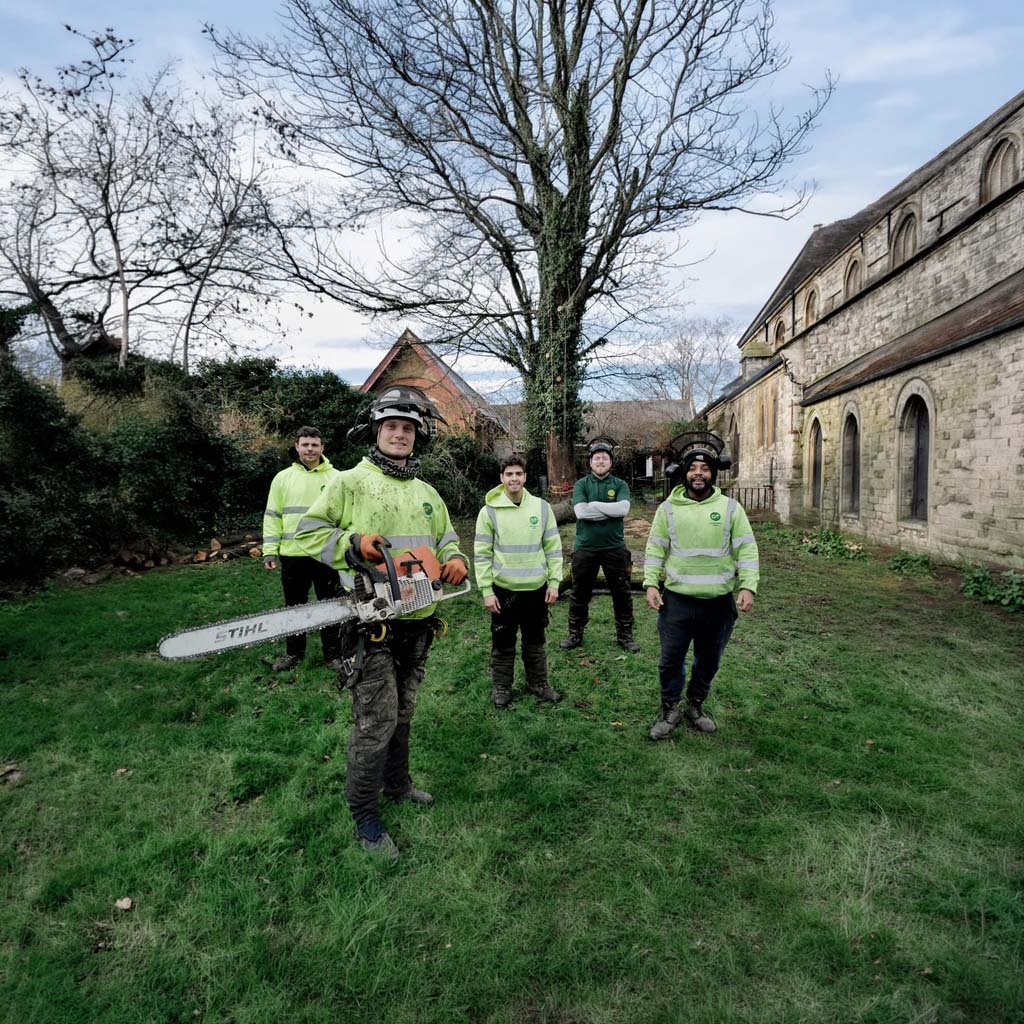 Gardners Trees professional tree surgery team