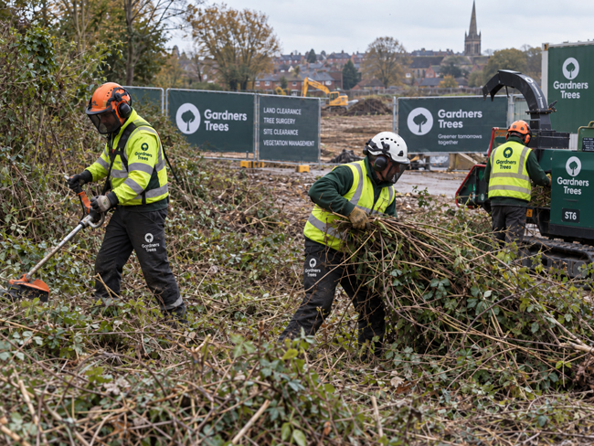 land clearing commercial tree surgeons london