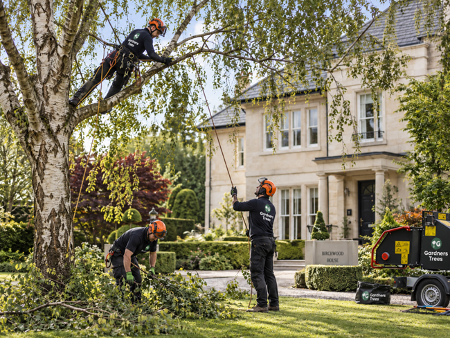 Commercial tree surgeons working with property and estate management