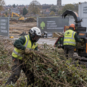 tree surgeon performing maintenance on site